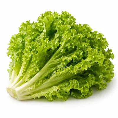Image for choice number 1